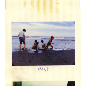 荫蒂添的视频免费高清
