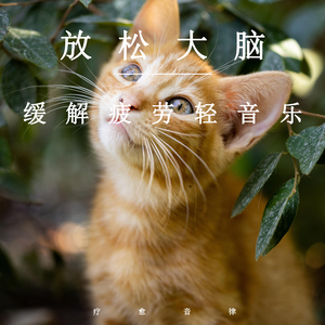 荫蒂添的视频免费高清
